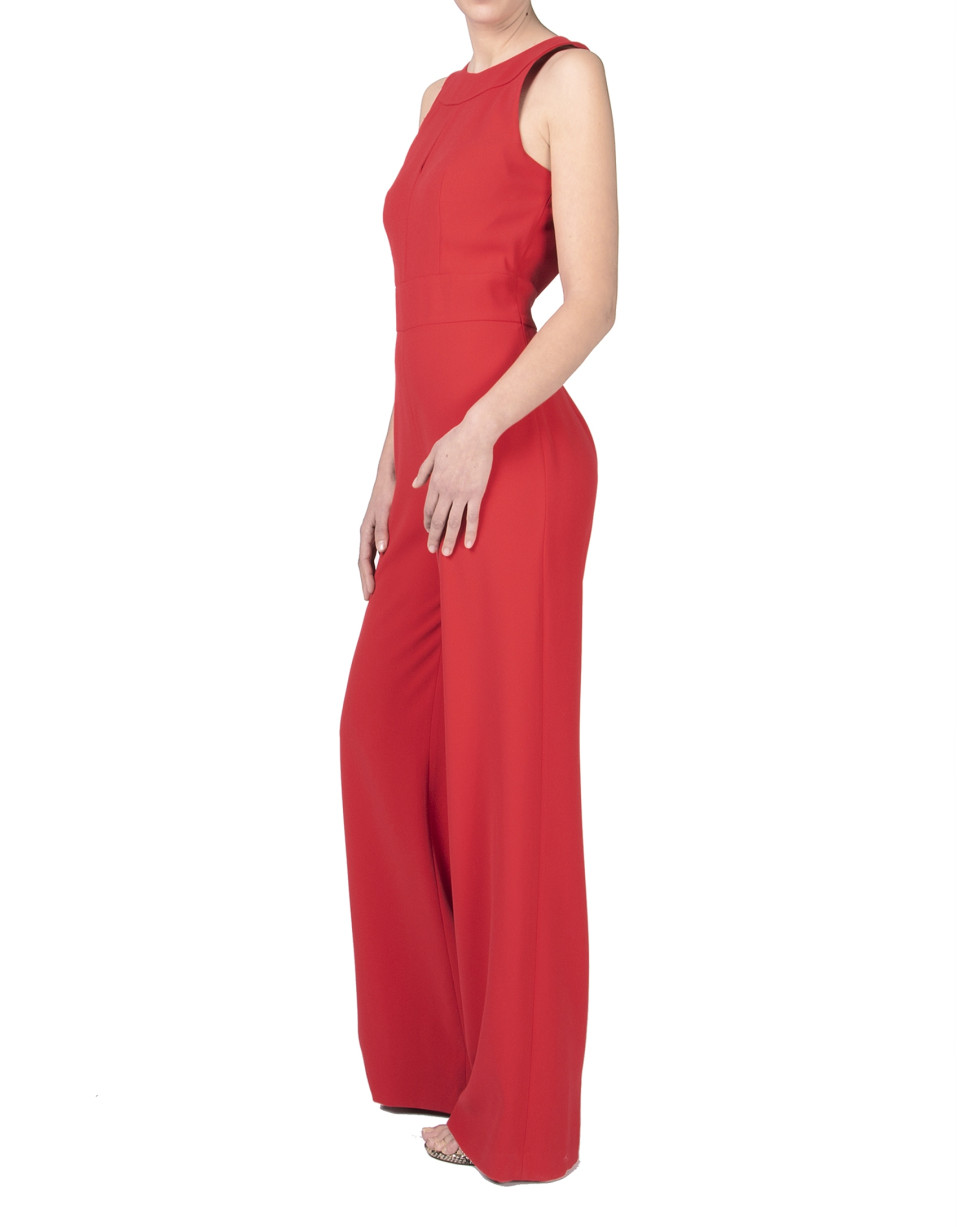 Mono rojo