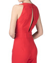 Mono rojo