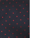 Navy blue tie with red dots