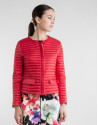 Plumas corto rojo