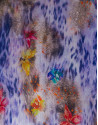Animal and flower print scarf