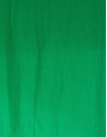 Foulard liso en verde 