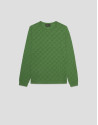Green cable knit long sleeve wool sweater | Roberto Verino