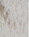 Jacket with detachable collar in white ... | Roberto Verino