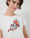 White cotton T-shirt with floral embroidery | Roberto Verino