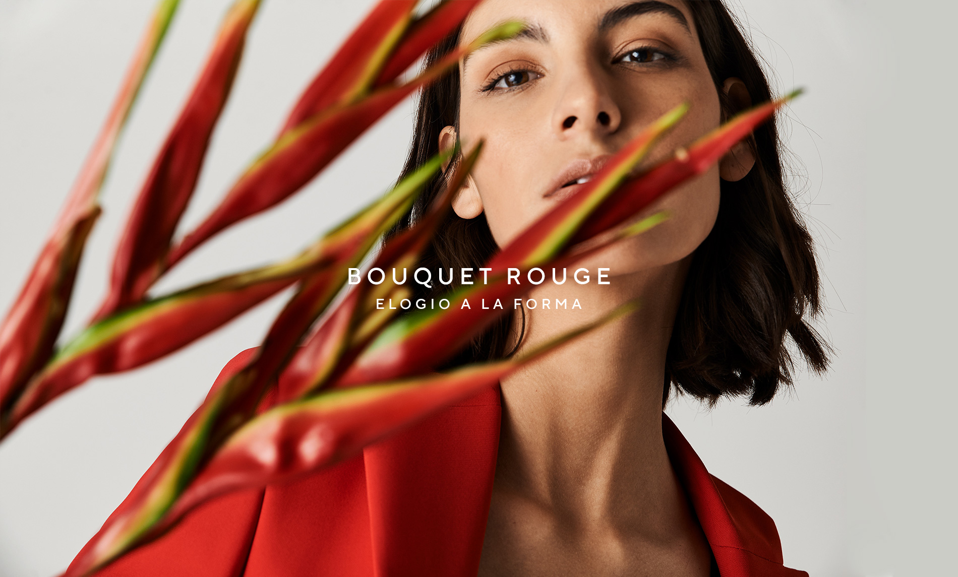 Bouquet Rouge - Editorial - Roberto Verino - 1