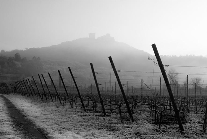 The Gargalo Vineyards- Monterrei Castle